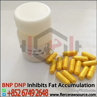 BNP 2,4-DNP 200 มก. CAS:51-28-5