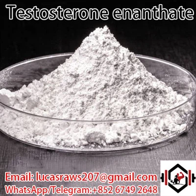 ฮอร์โมนเพศชาย Enanthate CAS 315 37 7