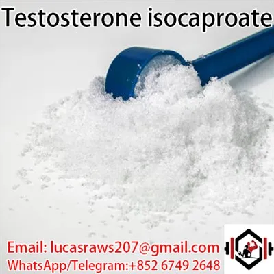 เทสโทสเตอโรน ไอโซคาโปรเอต CAS 15262 86 9
